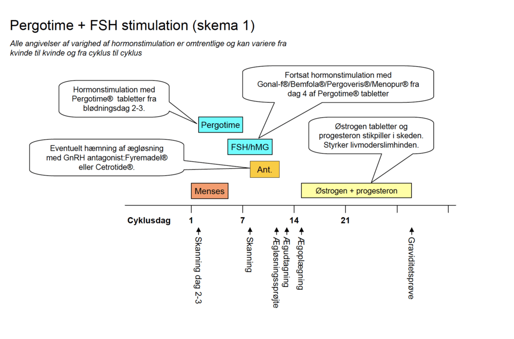 Skema1 flowchart - DK