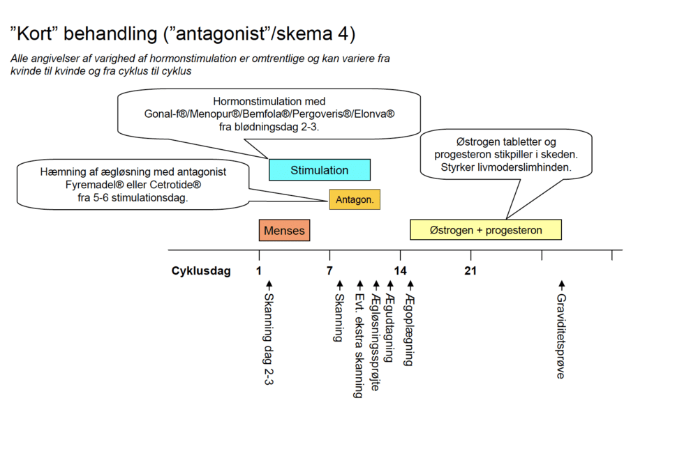 Skema4 flowchart - DK