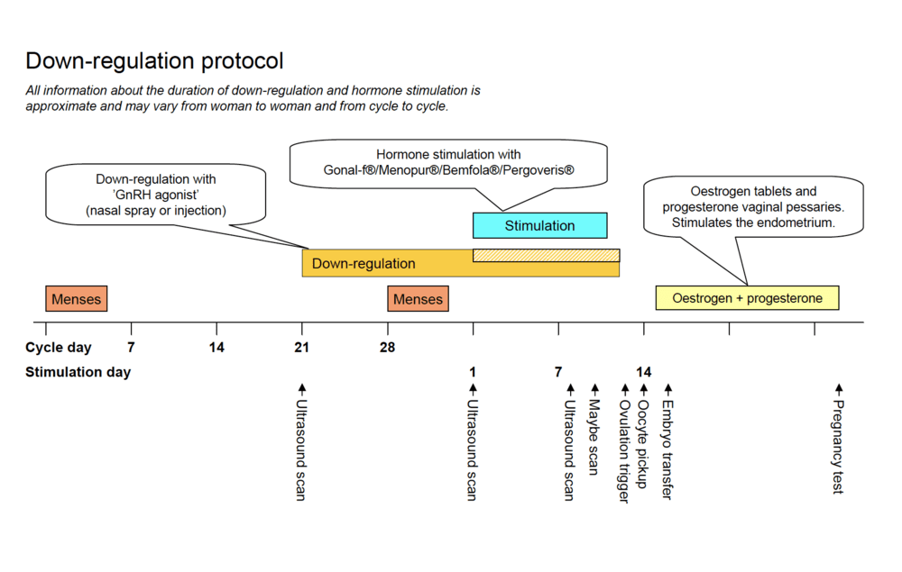 Scheme 3: Long down-regulation
