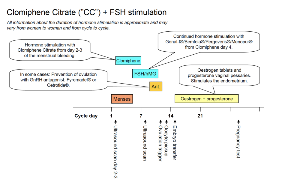 Scheme 1: Stimulation with Pergotime