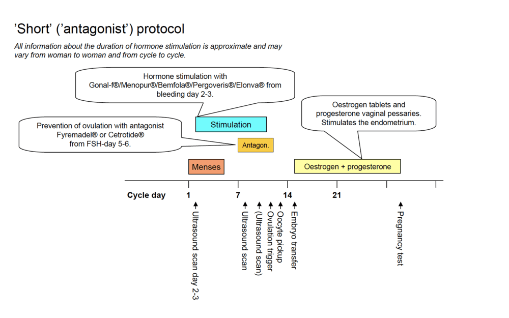 Scheme 4: Short antagonist-protocol