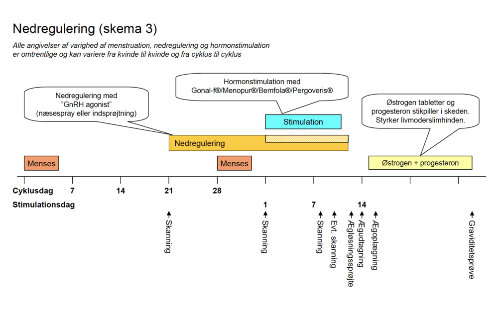 Skema3 flowchart - DK