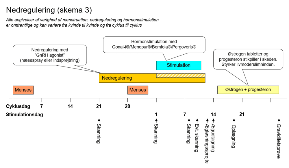 Lang nedregulering fertilitetsbehandling