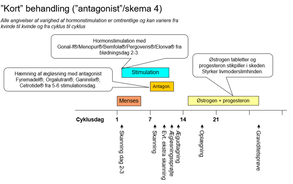 Kort behandling fertilitetsbehandling