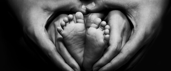 Babyfødder familie